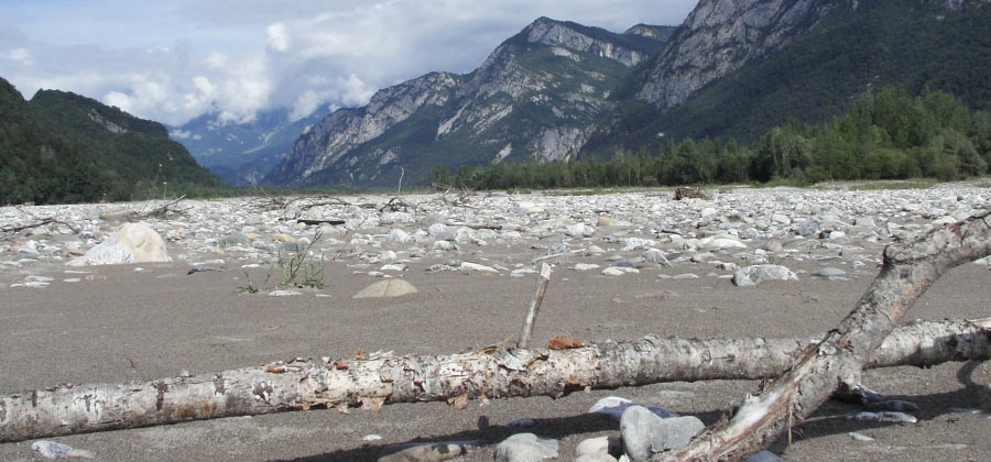 Tagliamento 2005